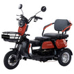 Trimoto Electrica IRIX