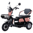 Trimoto Electrica IRIX
